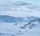 Artikelbild von Ice Quartet