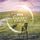 Artikelbild von Planet Earth III (OST TV)