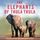 Artikelbild von The Elephants of Thula Thula