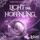 Artikelbild von Licht der Hoffnung