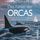 Artikelbild von Das R&auml;tsel der Orcas