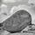 Artikelbild von Elbert/Mascardi/Mauillon/Heumann: Dreames & Imaginations - P