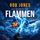 Artikelbild von DAS SCHWERT DER FLAMMEN (Joe Hawke 9)