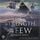 Artikelbild von The strength of the few