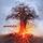 Artikelbild von Amorphis: Skyforger