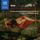 Artikelbild von Metamorphoses (Unabridged)