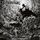 Artikelbild von Ritual of the Warpath