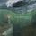 Artikelbild von Lighthouse
