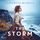 Artikelbild von The Storm