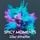 Artikelbild von Silent Attraction