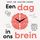 Artikelbild von Een dag in ons brein