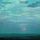 Artikelbild von Crystal Silence