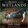Artikelbild von The Body in the Wetlands