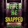 Artikelbild von After He Snapped (A Sloane Riddle Suspense Thriller&mdash;Book Three)