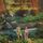 Artikelbild von Moonrise Kingdom