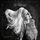 Artikelbild von Amor Vincit Omnia (Digipak)