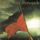 Artikelbild von Renegade (Expanded Edition)