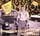 Artikelbild von That'll Flat Git It Vol.32 - Decca,Brunswick,Co