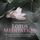 Artikelbild von Lotus Meditation