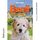 Artikelbild von Benji - Die Abenteuer eines Mini Goldendoodles