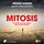 Artikelbild von Mitosis