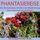 Artikelbild von Phantasiereise: Die Blumenwiese inmitten der Waldlichtung