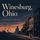 Artikelbild von Winesburg, Ohio