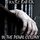 Artikelbild von In the Penal Colony