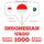 Artikelbild von 1000 essential words in Urdu