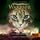 Artikelbild von Warrior Cats - Der Ursprung der Clans. Der erste Kampf