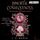 Artikelbild von Immortal Consequences &ndash; Die Blackwood Academy Trials