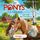 Artikelbild von Die Ponys von Lillasund 1. Ida und das Ponygl&uuml;ck