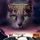 Artikelbild von Warrior Cats - Die Macht der drei. Verbannt