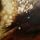 Artikelbild von Grace/Confusion