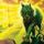 Artikelbild von LIGHTBRINGER