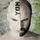 Artikelbild von Unue