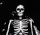Artikelbild von Forever Halloween