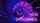 thumbnail-10