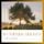 Artikelbild von Wuthering Heights
