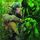 Artikelbild von Mayall, J: BLUES FROM LAUREL CANYON
