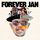 Artikelbild von Forever Jan - 25 Jahre Jan Delay