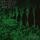 Artikelbild von Cryptic (Re-issue)