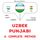 Artikelbild von Uzbek - Punjabi : a complete method