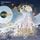 Artikelbild von Dinghai Fusheng Records. Buch 2