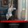 Artikelbild von A Room with a View