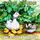 Artikelbild von The Ugly Duckling