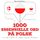 Artikelbild von 1000 essentielle ord p&aring; polsk