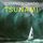 Artikelbild von Tsunami