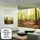 Artikelbild von FOREST LOUNGE (CD+DVD)