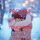 Artikelbild von Promise Me Tomorrow (Together in Timberlake&mdash;Book 4)